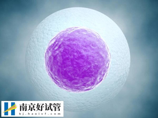 南京医大二附院做试管婴儿整个流程需要多长时间？(图2)