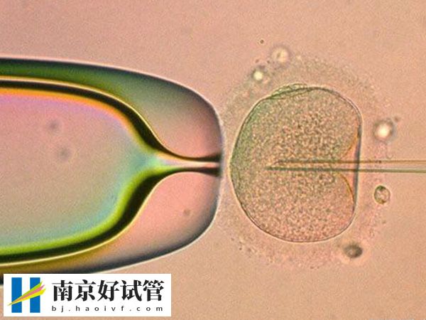 南京试管婴儿什么时候纳入医保(图1)