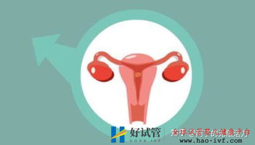 来得及!40岁做试管成功率多少,试管对amh值的最低...(图3) 来得及!40岁做试管成功率多少,试管对amh值的最低...(图3)
