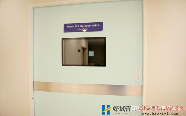 三代试管婴儿费用明细清单!(图2) 三代试管婴儿费用明细清单!(图2)