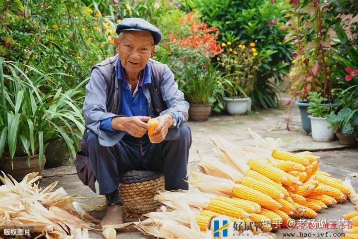 喜讯!2023年,农村5大惠民政策陆续实施,4大补贴...(图6) 喜讯!2023年,农村5大惠民政策陆续实施,4大补贴...(图6)