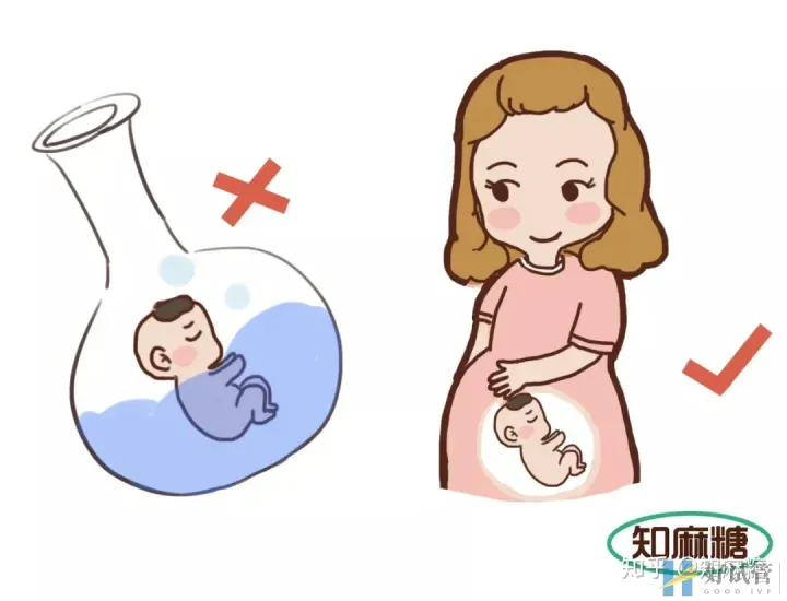试管婴儿长方案需要多少天(什么是“试管婴儿”?)深度揭秘(图6) 试管婴儿长方案需要多少天(什么是“试管婴儿”?)深度揭秘(图6)