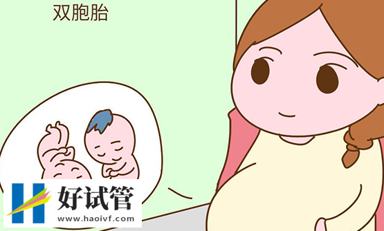 三代试管做双生子的条件,胚胎质量和卵巢功能好才能做(图2) 试管实现双生子是一项复杂的过程