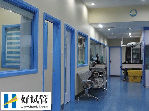 济南二代试管婴儿技术解析,选这家医院助孕3万轻松抱娃(图1) 济南二代试管医院有哪些