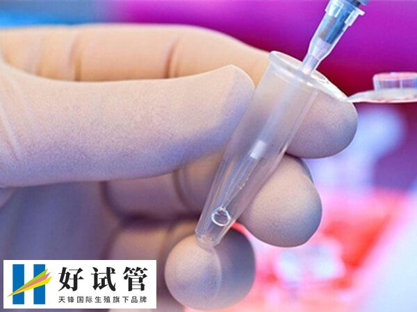 三代试管需要多长时间完成(图2) 取卵取精是同一天