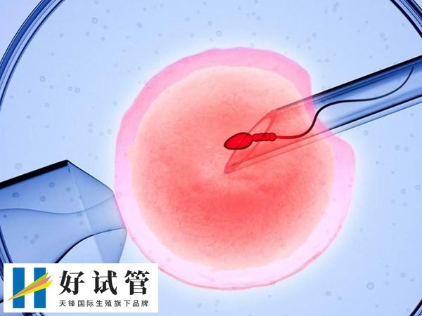 民间流传求子助孕灵验的方法,快试试佩戴玉器(图1) 民间流传求子助孕灵验的方法,快试试佩戴玉器(图1)
