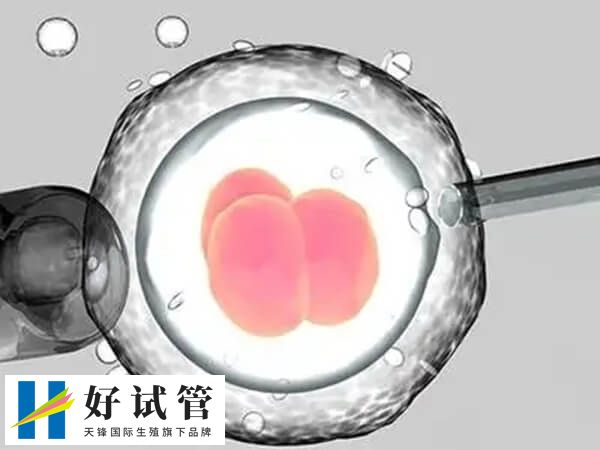 三代试管10个囊胚能筛出几个(图2) NGS技术的实验室筛查准确率可达98%以上